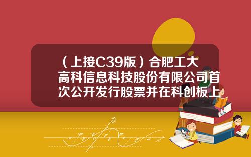 （上接C39版）合肥工大高科信息科技股份有限公司首次公开发行股票并在科创板上市发行公告（下转C41版）-世融基金
