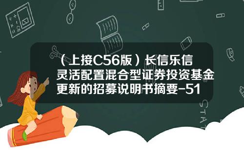 （上接C56版）长信乐信灵活配置混合型证券投资基金更新的招募说明书摘要-519993基金净值查询
