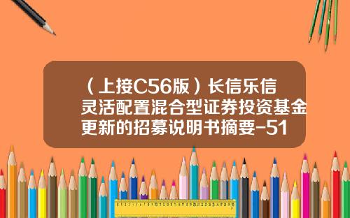 （上接C56版）长信乐信灵活配置混合型证券投资基金更新的招募说明书摘要-519993基金