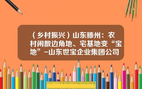 （乡村振兴）山东滕州：农村闲散边角地、宅基地变“宝地”-山东世宝企业集团公司