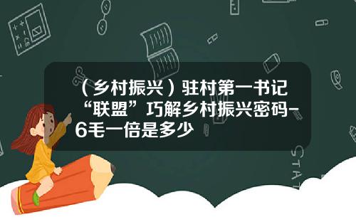 （乡村振兴）驻村第一书记“联盟”巧解乡村振兴密码-6毛一倍是多少