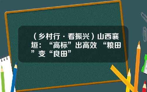 （乡村行·看振兴）山西襄垣：“高标”出高效 “粮田”变“良田”