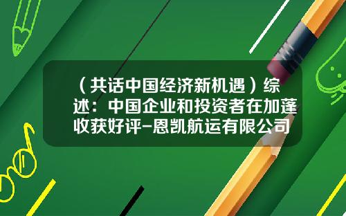 （共话中国经济新机遇）综述：中国企业和投资者在加蓬收获好评-恩凯航运有限公司