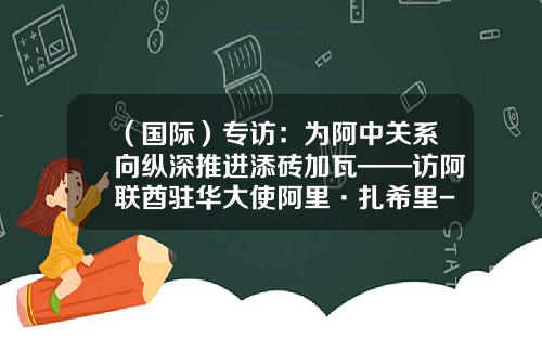 （国际）专访：为阿中关系向纵深推进添砖加瓦——访阿联酋驻华大使阿里·扎希里-阿中基金