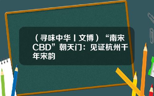 （寻味中华丨文博）“南宋CBD”朝天门：见证杭州千年宋韵