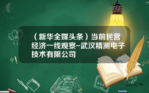 （新华全媒头条）当前民营经济一线观察-武汉精测电子技术有限公司