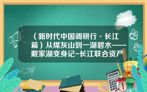 （新时代中国调研行·长江篇）从煤灰山到一湖碧水——戴家湖变身记-长江联合资产经营有限公司
