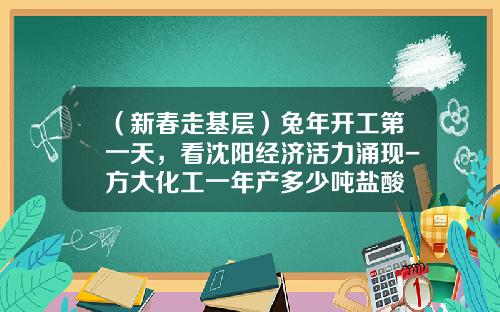 （新春走基层）兔年开工第一天，看沈阳经济活力涌现-方大化工一年产多少吨盐酸