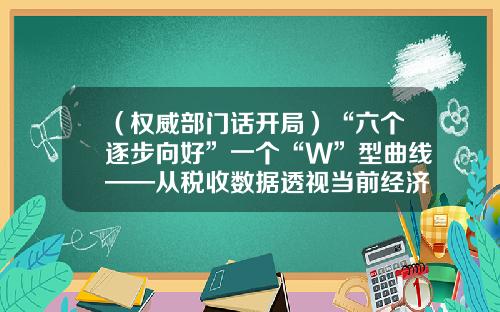 （权威部门话开局）“六个逐步向好”一个“W”型曲线——从税收数据透视当前经济运行态势-经济一个w多少