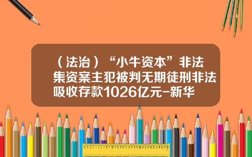 （法治）“小牛资本”非法集资案主犯被判无期徒刑非法吸收存款1026亿元-新华社投资控股有限公司