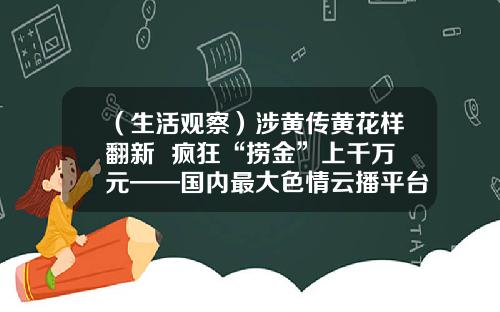 （生活观察）涉黄传黄花样翻新  疯狂“捞金”上千万元——国内最大色情云播平台覆灭记