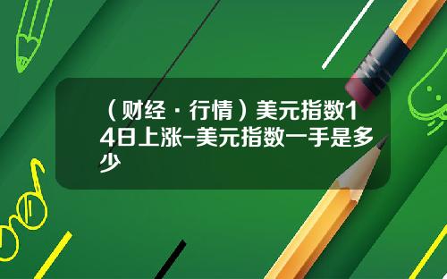 （财经·行情）美元指数14日上涨-美元指数一手是多少