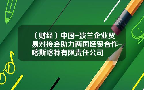 （财经）中国-波兰企业贸易对接会助力两国经贸合作-喀斯喀特有限责任公司