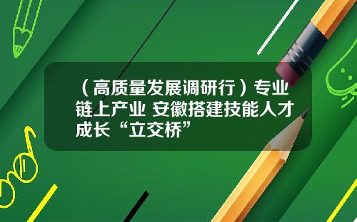 （高质量发展调研行）专业链上产业 安徽搭建技能人才成长“立交桥”