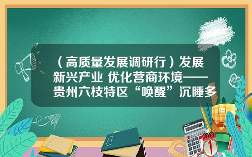 （高质量发展调研行）发展新兴产业 优化营商环境——贵州六枝特区“唤醒”沉睡多年的产业园区一线观察