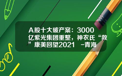 Ａ股十大破产案：3000亿紫光集团重整，神农氏“救”康美回望2021㉑-青海金马矿业有限公司