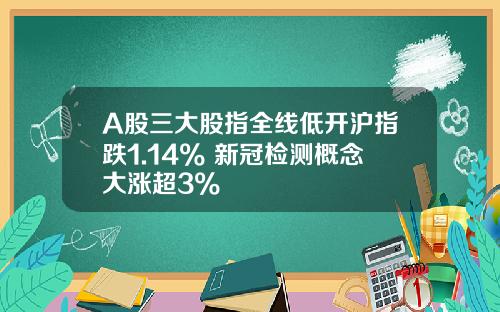 A股三大股指全线低开沪指跌1.14% 新冠检测概念大涨超3%