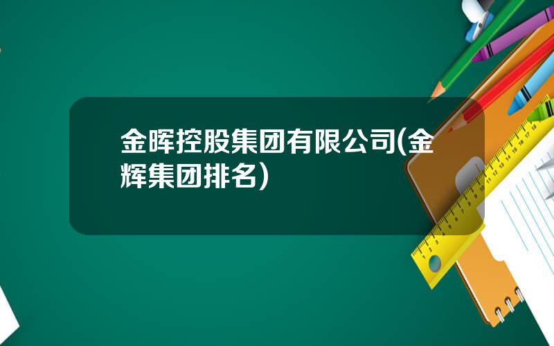 金晖控股集团有限公司(金辉集团排名)