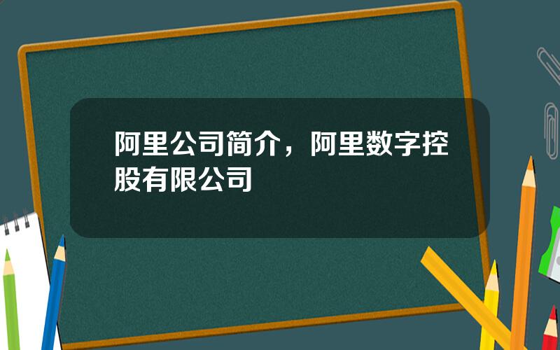 阿里公司简介，阿里数字控股有限公司