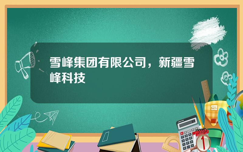 雪峰集团有限公司，新疆雪峰科技