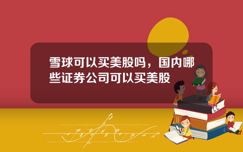 雪球可以买美股吗，国内哪些证券公司可以买美股
