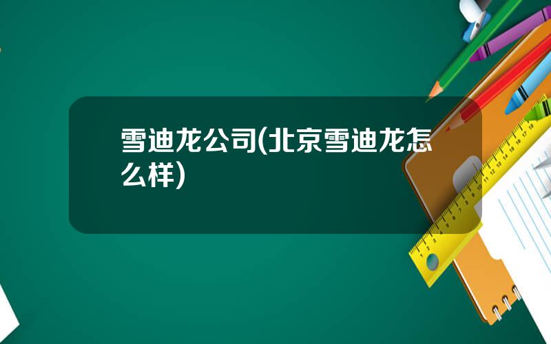 雪迪龙公司(北京雪迪龙怎么样)