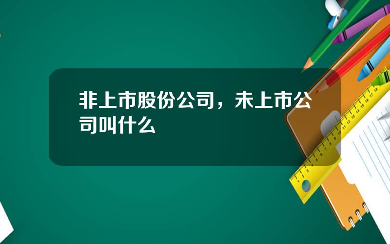 非上市股份公司，未上市公司叫什么
