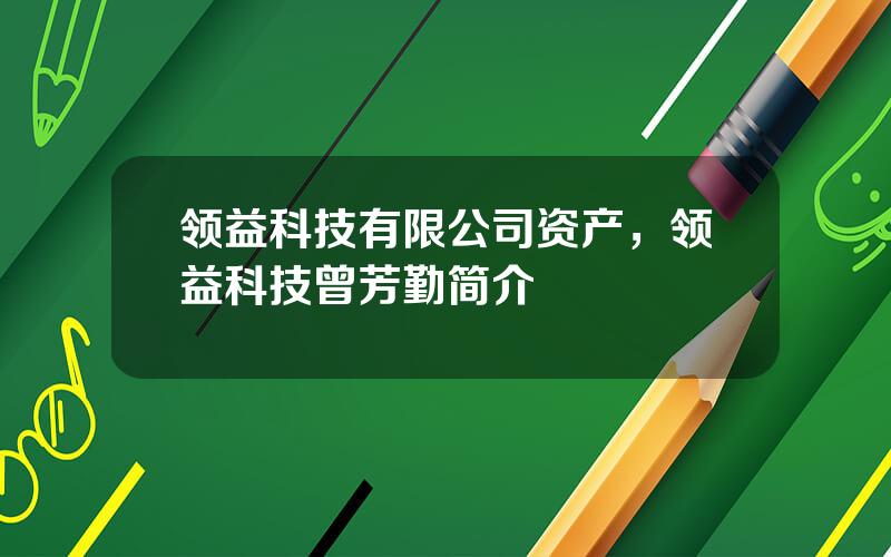 领益科技有限公司资产，领益科技曾芳勤简介