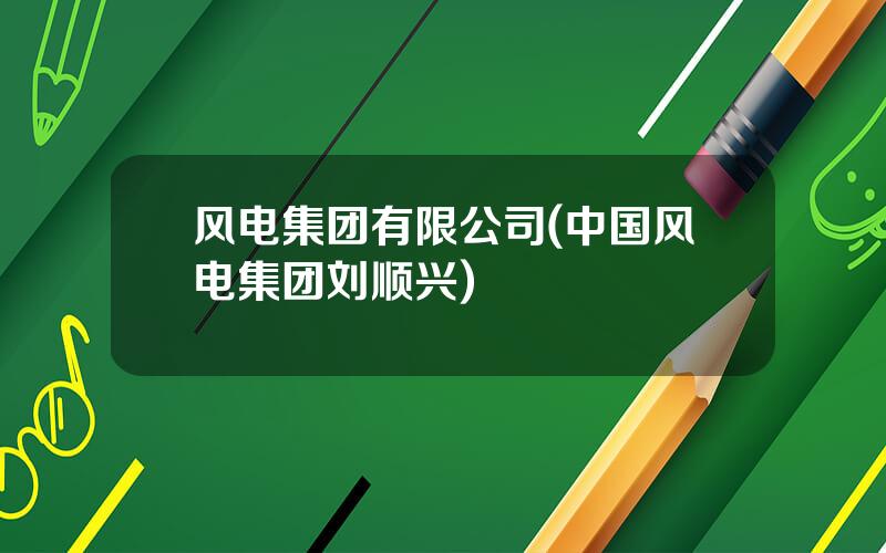 风电集团有限公司(中国风电集团刘顺兴)