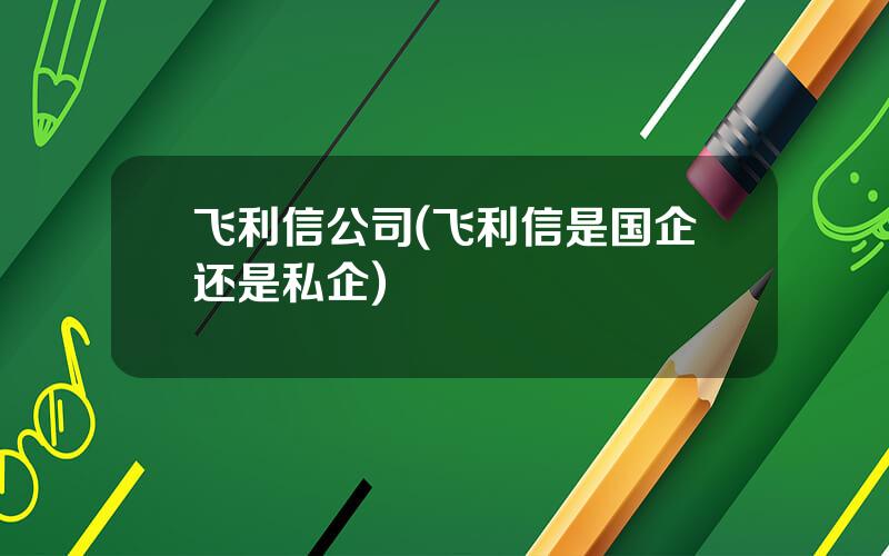 飞利信公司(飞利信是国企还是私企)