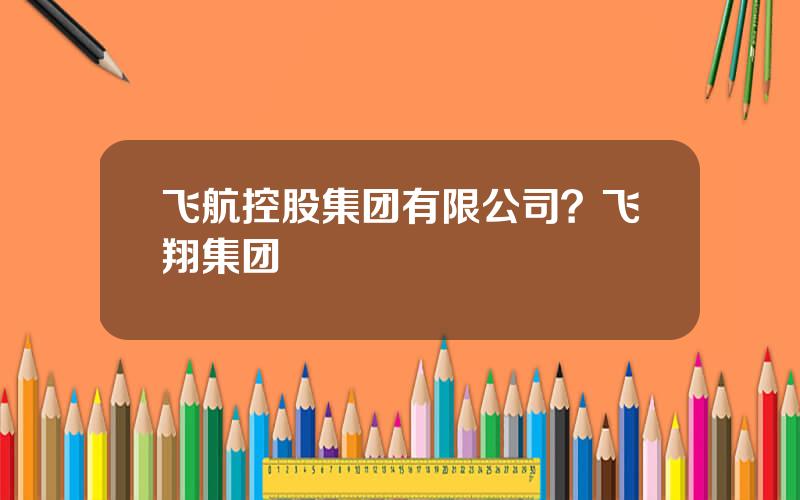 飞航控股集团有限公司？飞翔集团