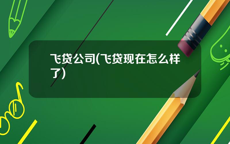 飞贷公司(飞贷现在怎么样了)