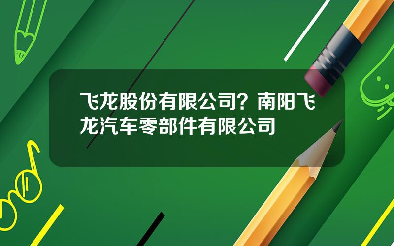 飞龙股份有限公司？南阳飞龙汽车零部件有限公司