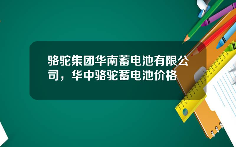 骆驼集团华南蓄电池有限公司，华中骆驼蓄电池价格