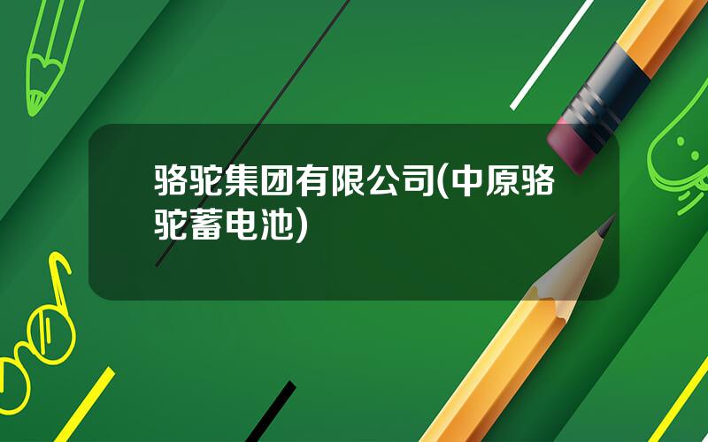 骆驼集团有限公司(中原骆驼蓄电池)