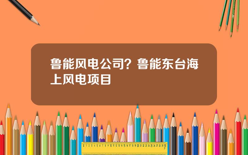 鲁能风电公司？鲁能东台海上风电项目