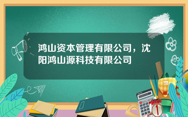 鸿山资本管理有限公司，沈阳鸿山源科技有限公司