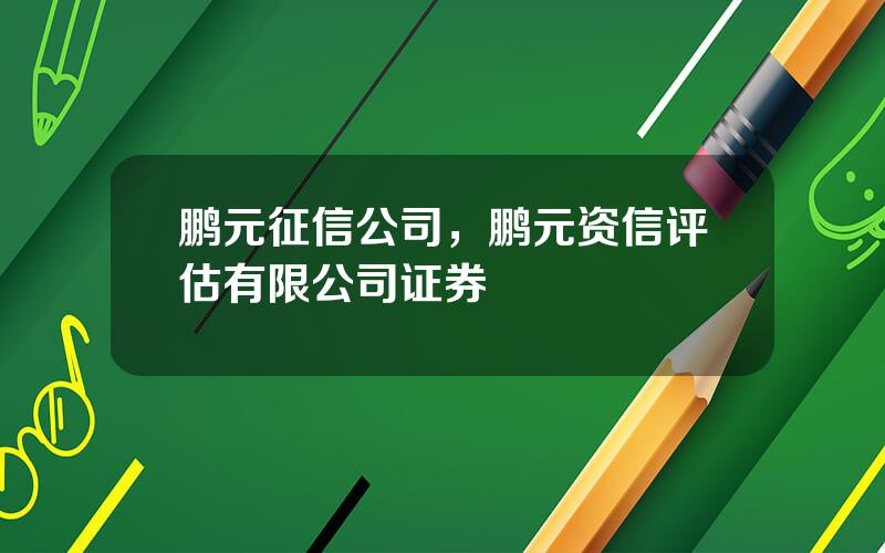 鹏元征信公司，鹏元资信评估有限公司证券