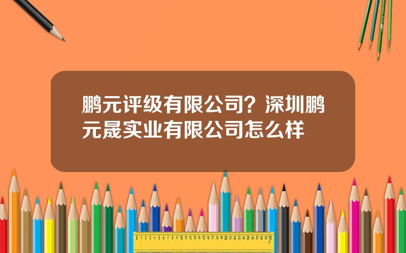 鹏元评级有限公司？深圳鹏元晟实业有限公司怎么样
