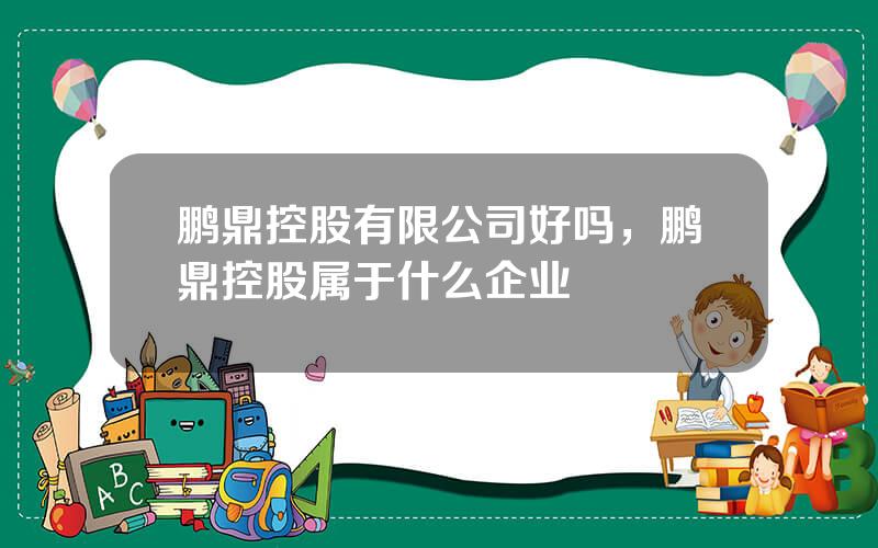 鹏鼎控股有限公司好吗，鹏鼎控股属于什么企业
