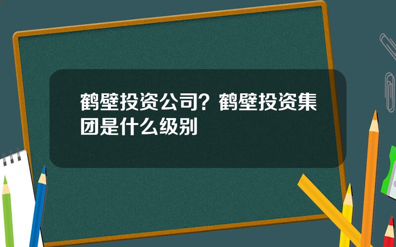 鹤壁投资公司？鹤壁投资集团是什么级别