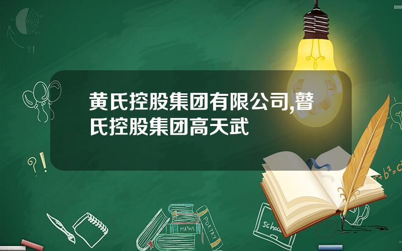 黄氏控股集团有限公司,瞽氏控股集团高天武
