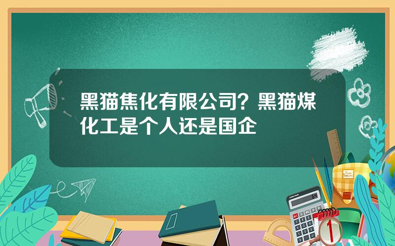 黑猫焦化有限公司？黑猫煤化工是个人还是国企
