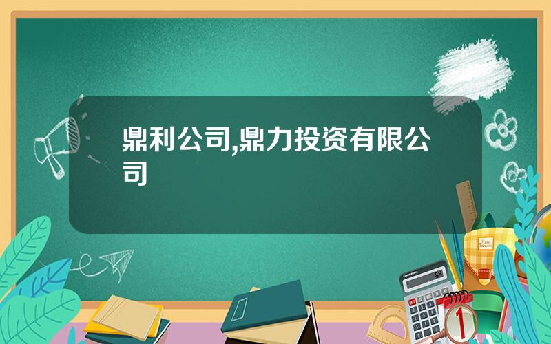 鼎利公司,鼎力投资有限公司