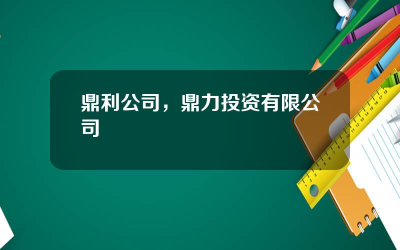 鼎利公司，鼎力投资有限公司