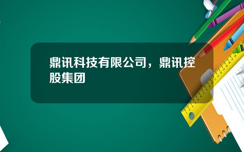 鼎讯科技有限公司，鼎讯控股集团