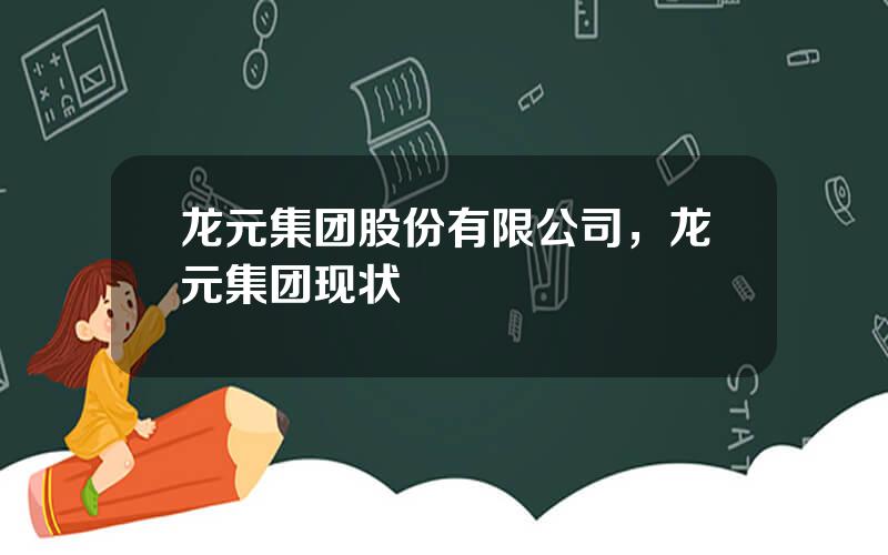 龙元集团股份有限公司，龙元集团现状