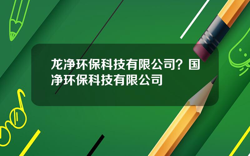 龙净环保科技有限公司？国净环保科技有限公司