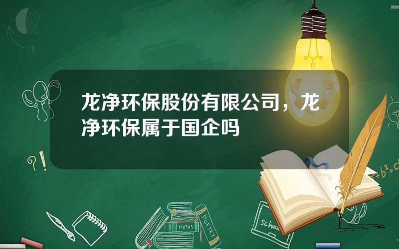 龙净环保股份有限公司，龙净环保属于国企吗