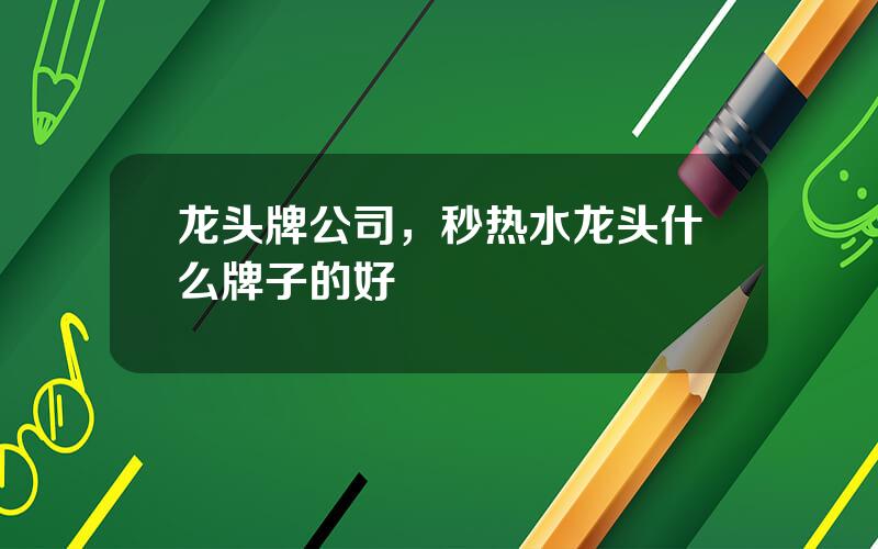 龙头牌公司，秒热水龙头什么牌子的好